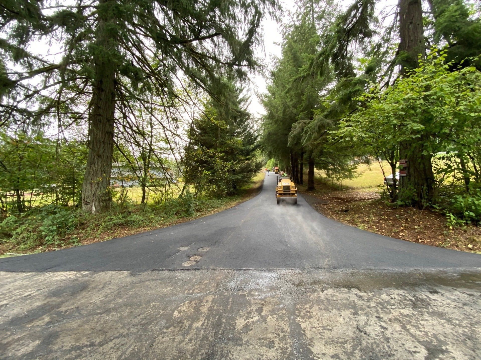 Asphalt driveway lined with trees leads to a yellow riding lawnmower in a grassy area.
