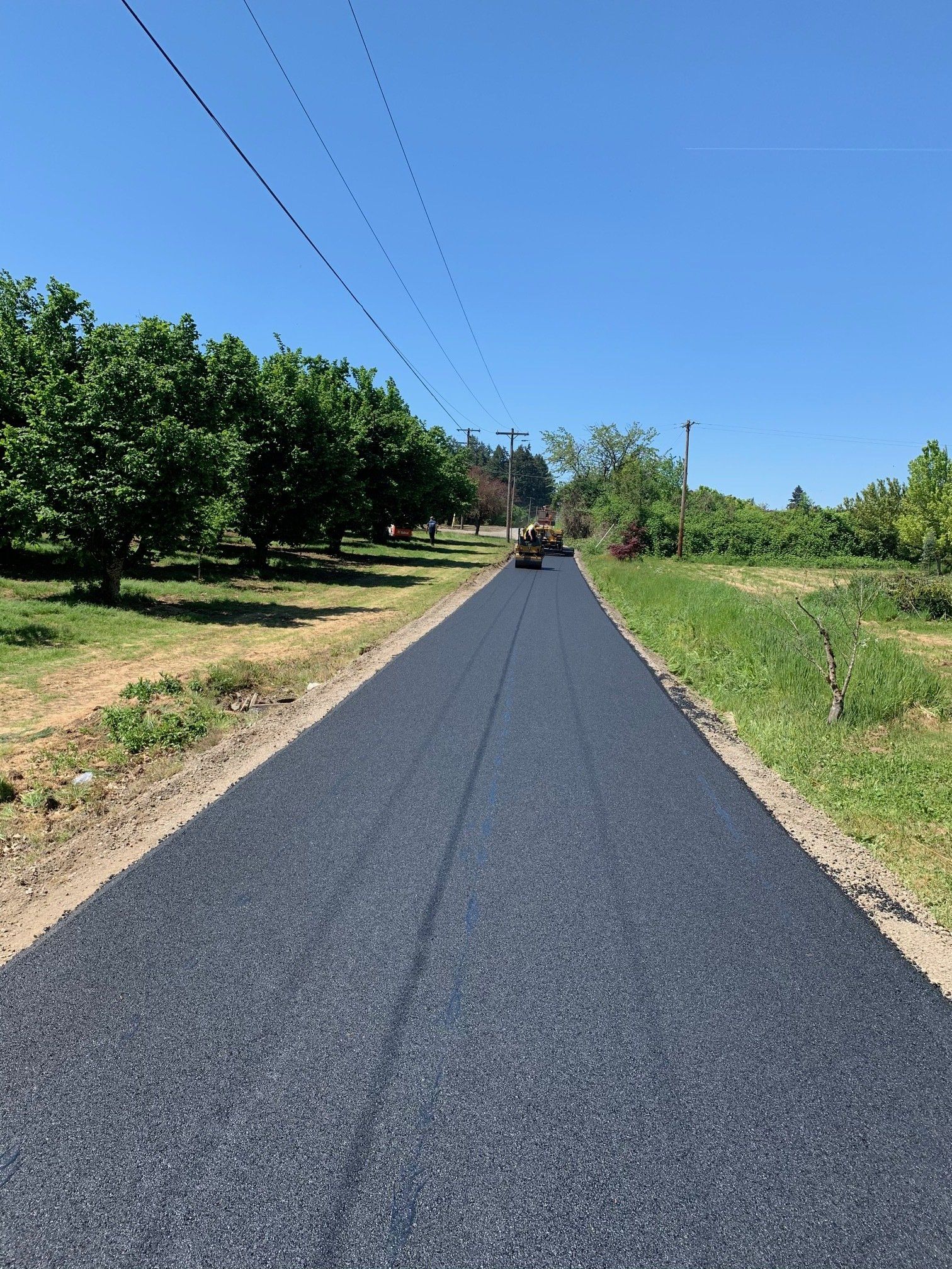 Newly paved asphalt road under a clear blue sky, with trees and roadside vegetation.