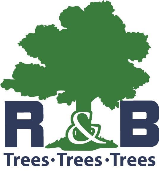 Tree Service Oklahoma City