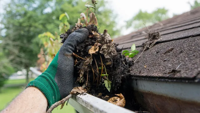 Spokane Clogged Gutters