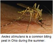 Click to visit the Ohio Department of Health for more information about mosquitos.