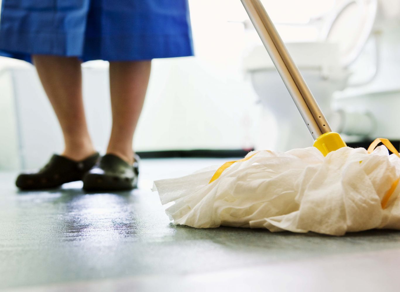 office cleaning in Wellington
