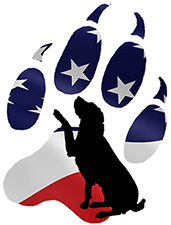 Southcoast Dog Training