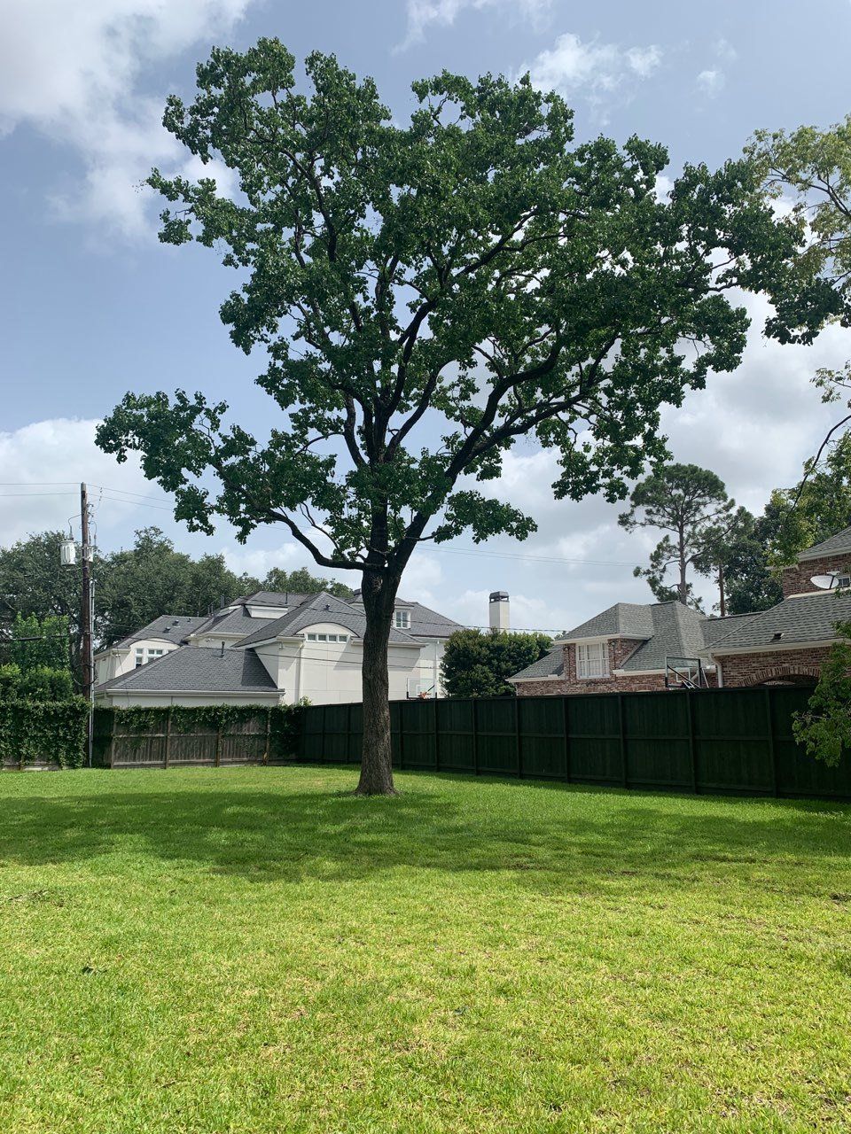 Tree Services 14