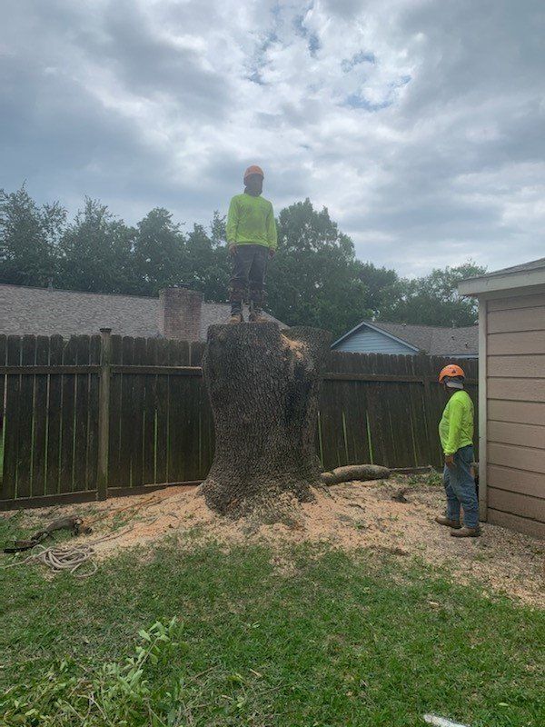 Tree Services 9