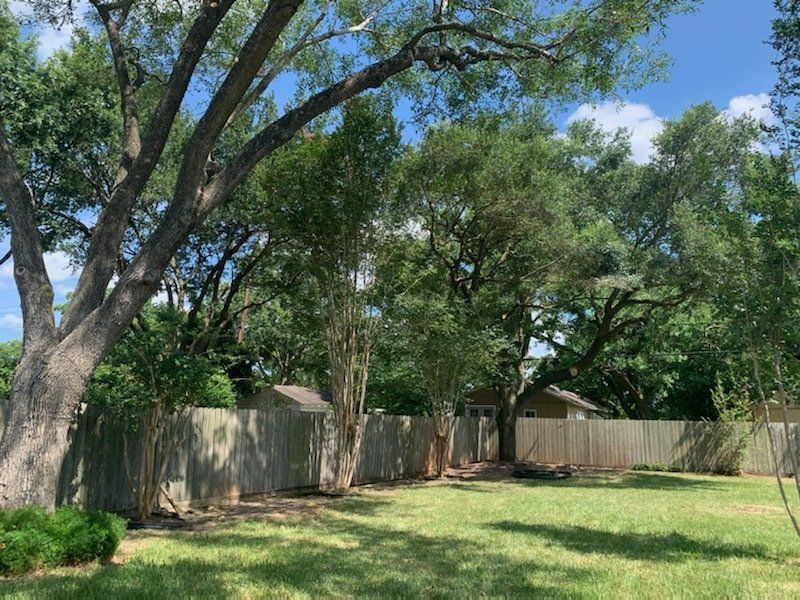 Tree Services 3