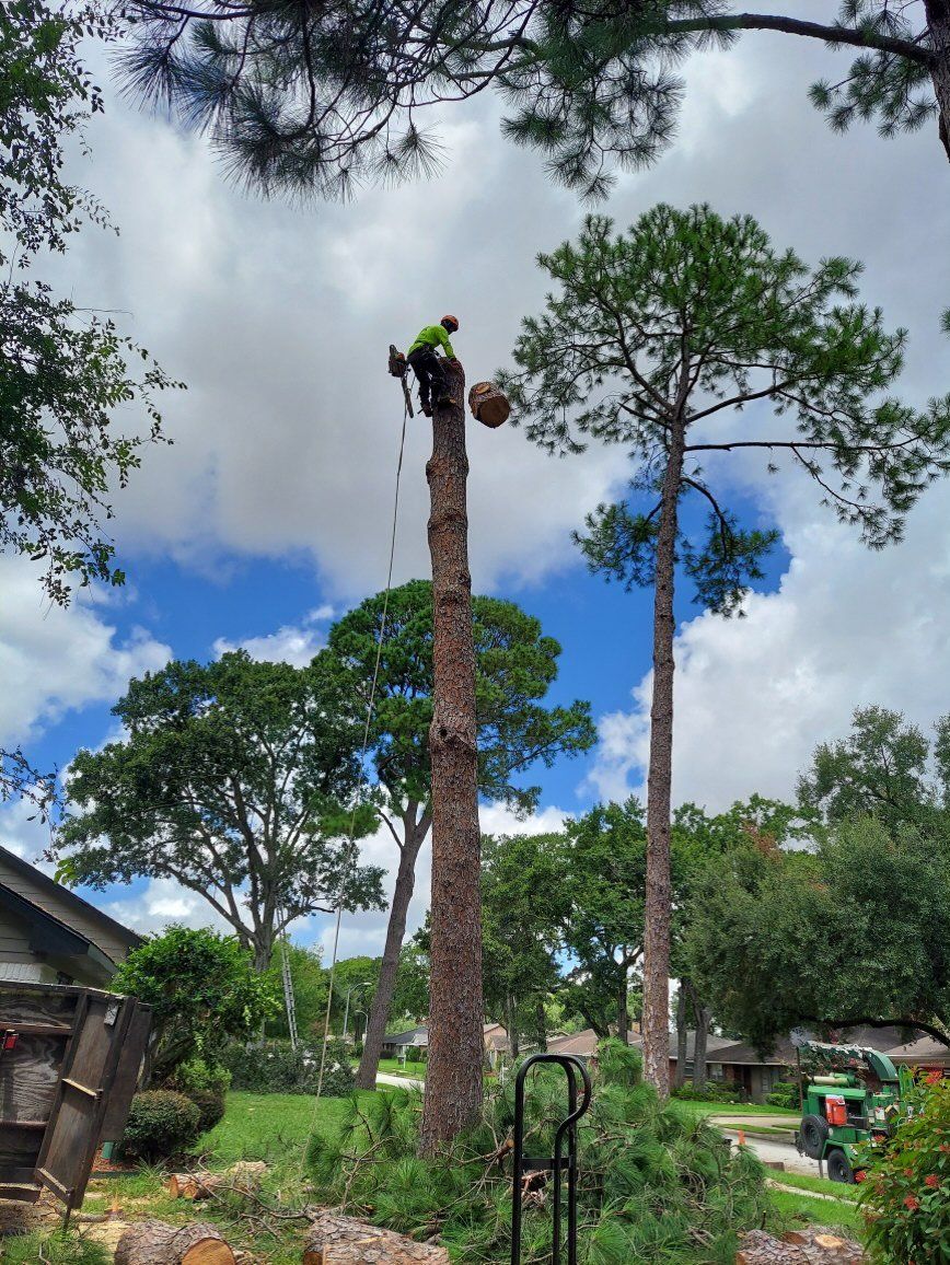 Tree Services 1
