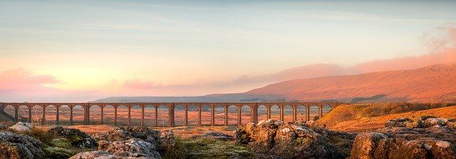 bridge in a wilderness