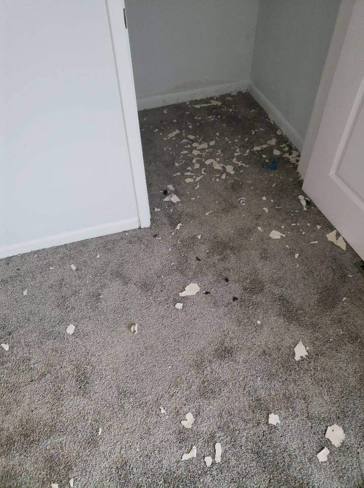 Gray carpet with white debris, doorway, and closet in a room with light gray walls.