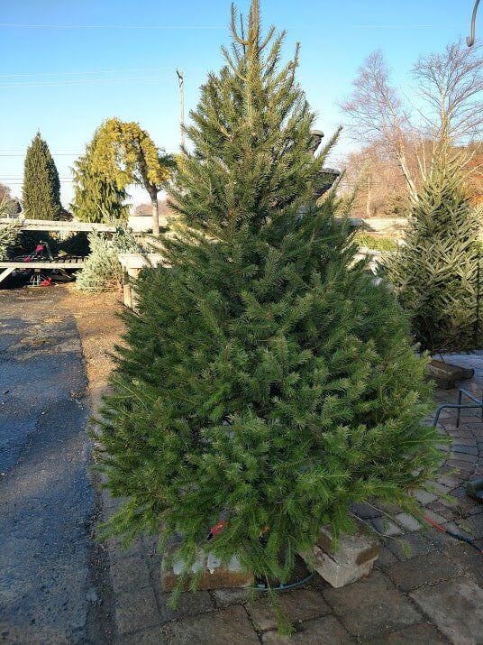 IMG_20171130_151218775_HDR