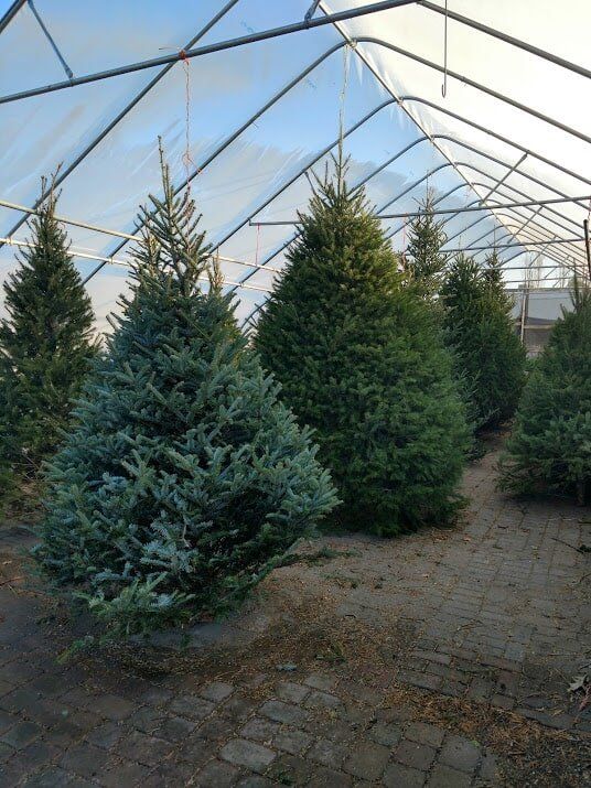 IMG_20171130_151302807_HDR