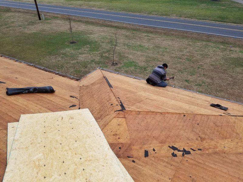 bare roof