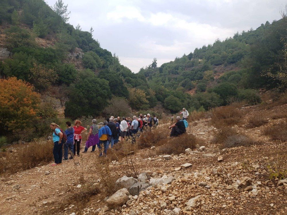 קבוצת מטיילים הולכת בשביל הררי סלעי בעמק מיוער