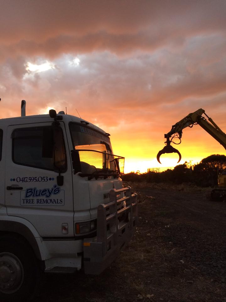 Bushfire Clearing