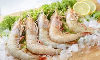Lobsters