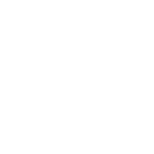 Repair Icon