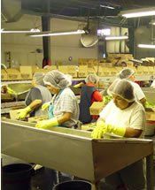 Team Members Working at Talk O' Texas Brands Inc.