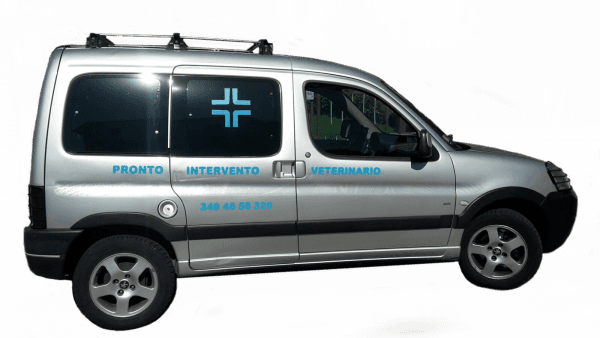 Veterinario a domicilio Vicenza