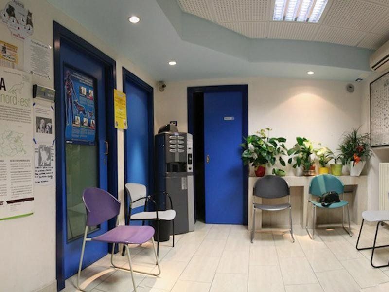 Veterinario Vicenza Veterinario Vicenza