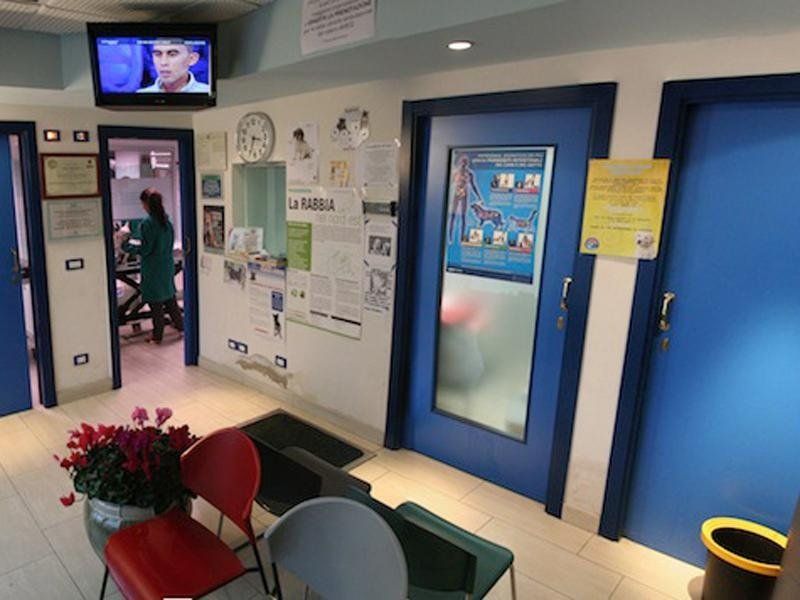 Veterinario Vicenza Veterinario Vicenza