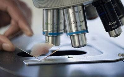 Laboratorio per analisi veterinarie