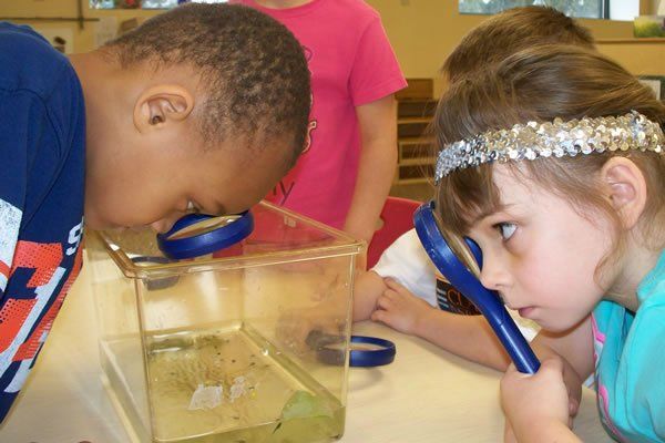 A boy and a girl are looking through magnifying glasses at a fish tank.