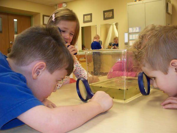 A boy and a girl are looking through magnifying glasses at a bug in a container.