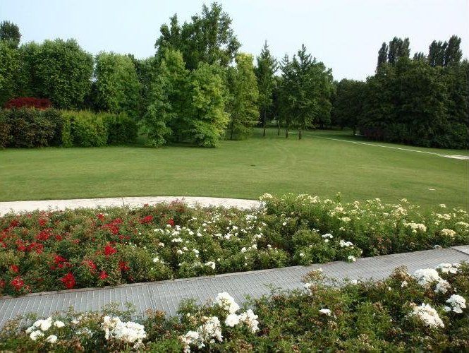 Parco verde