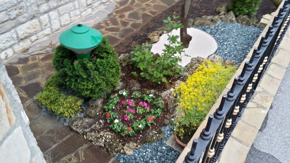 Fiori in aiuola