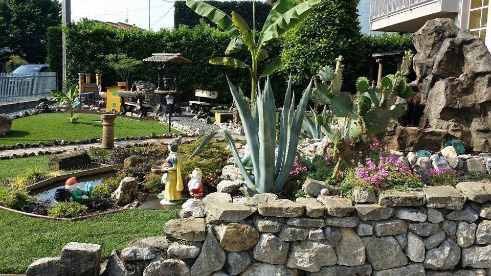 Agave