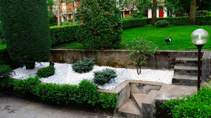 Fiori annaffiati