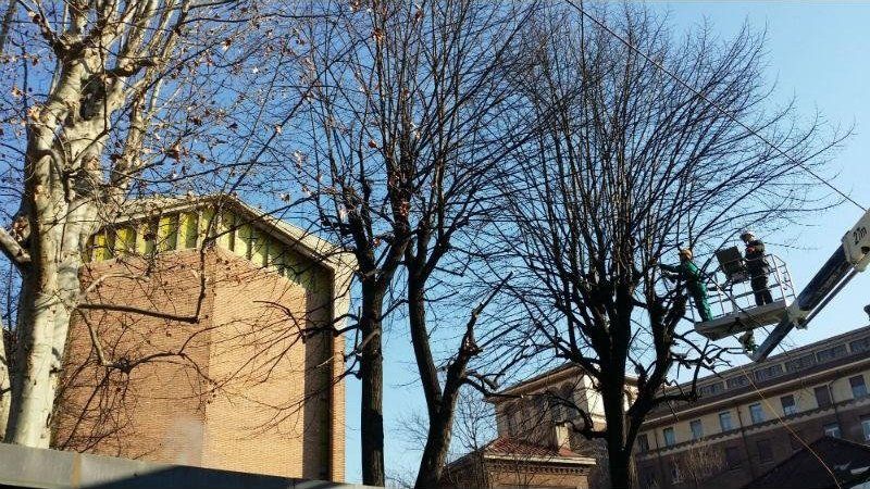 Alberi e case