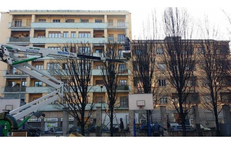 Potatura in città