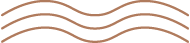 queen-boat-co-wave-icon
