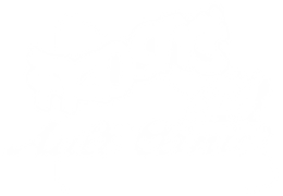 frostys auto clinic white logo