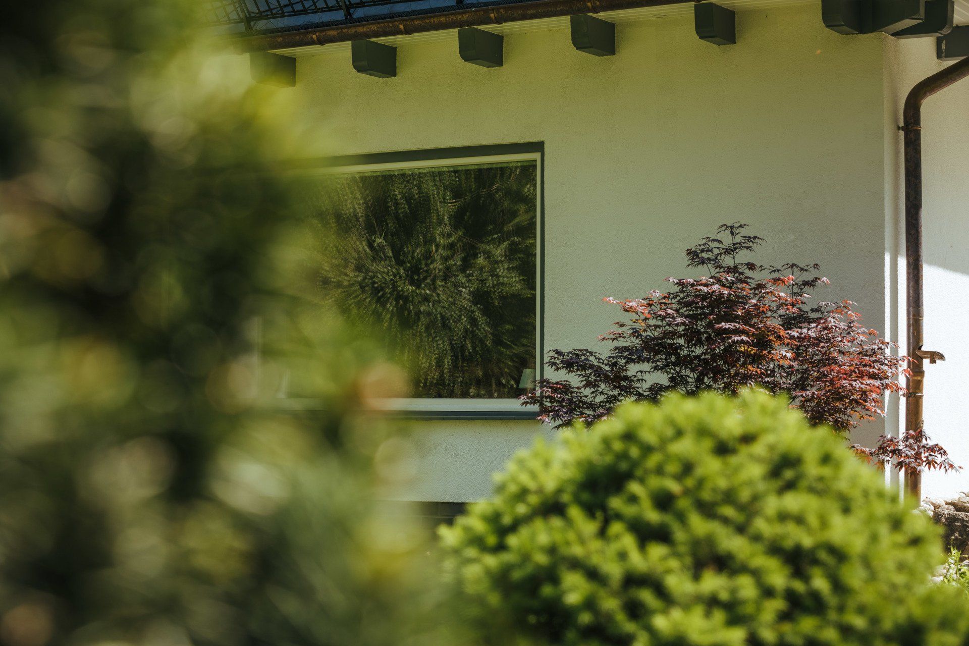 Ein Haus mit einem großen Fenster und einem Busch davor.
