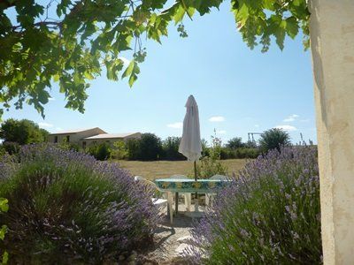 A view of a garden with garden table and chairs and lavendar bushes