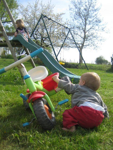 toddler reaching for a tricycle in a garden