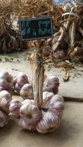 close up of garlic bulbs