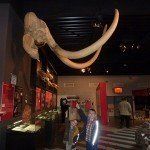 paleosite