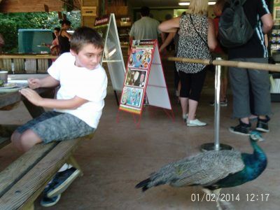 valley des singes restaurant