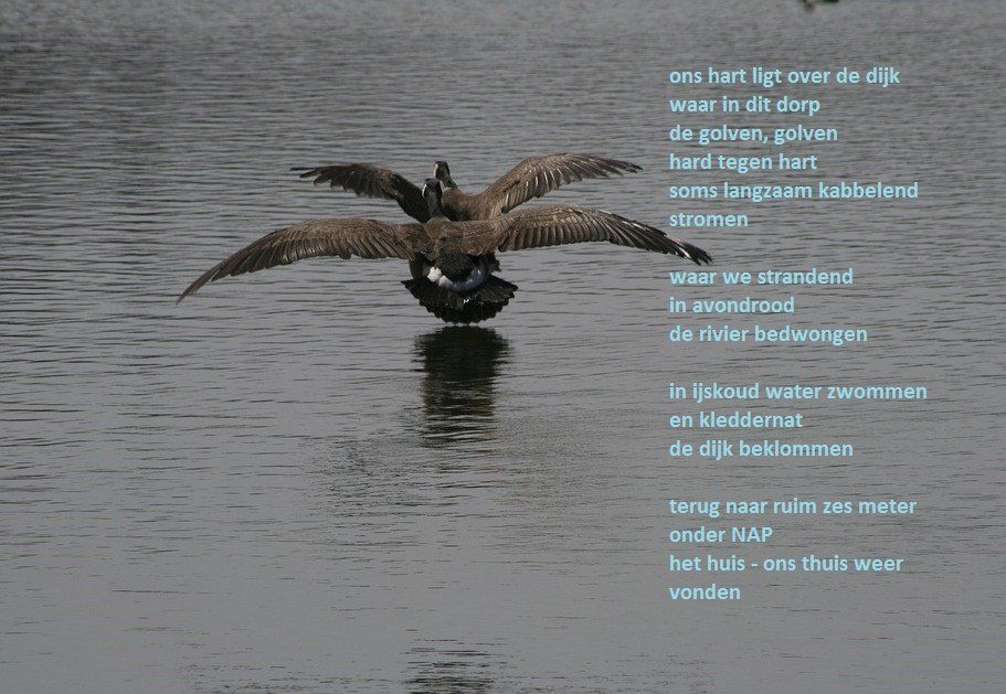Ons hart gedicht Erica van Vugt - De Taalstaat