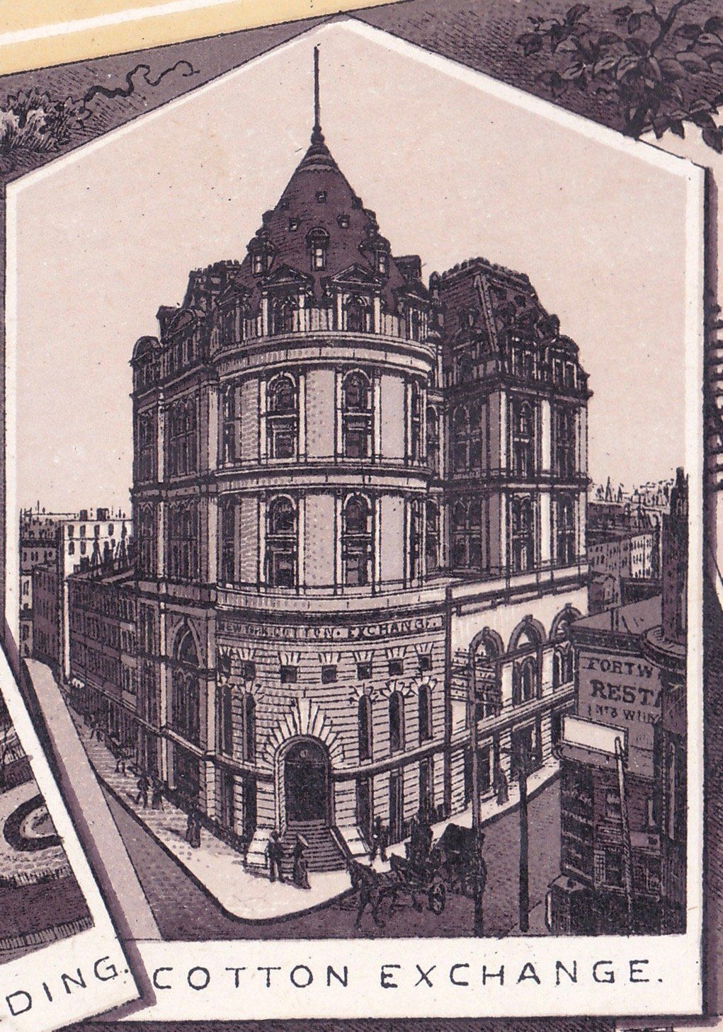 COTTON EXCHANGE.