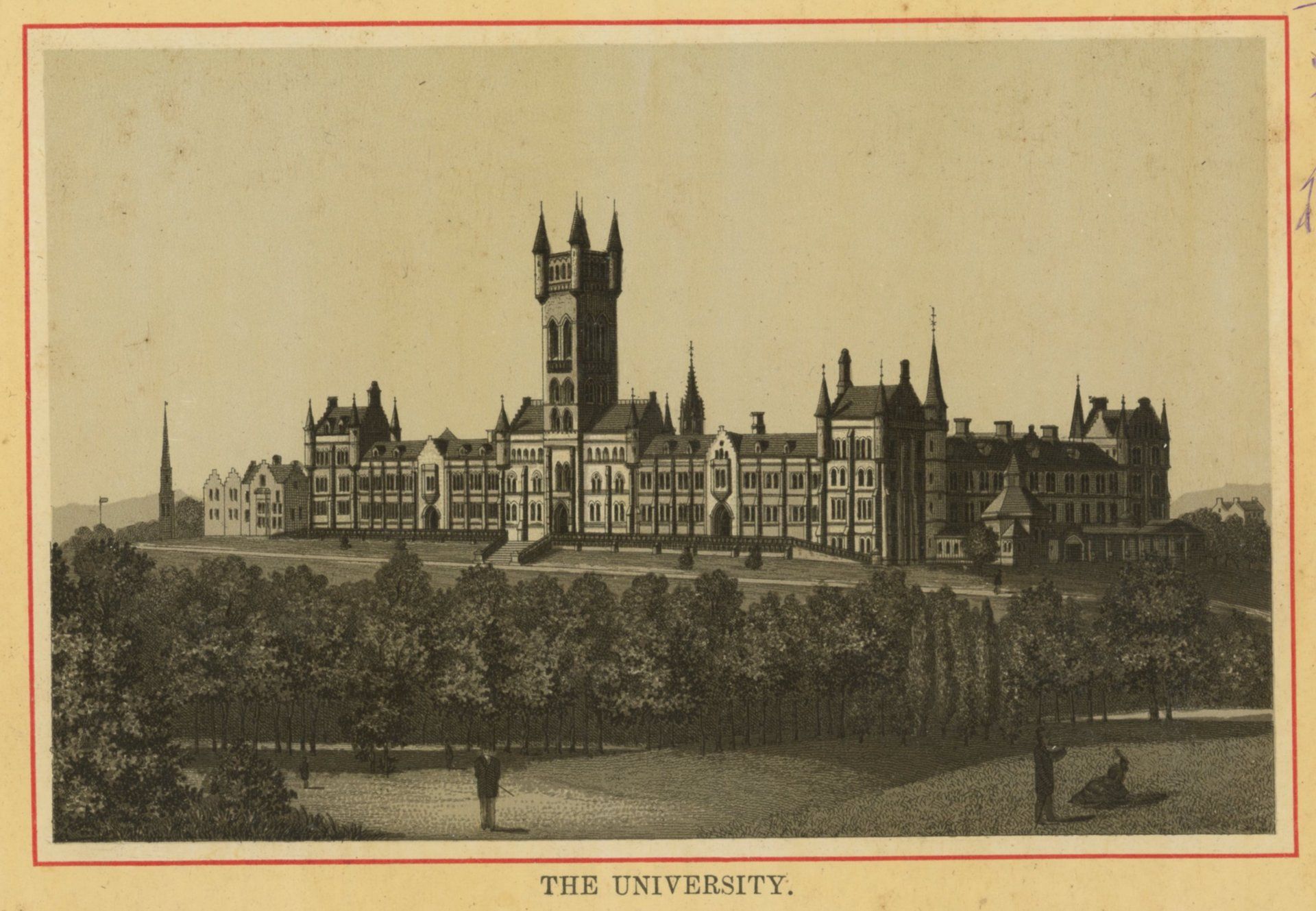 THE UNIVERSITY.
