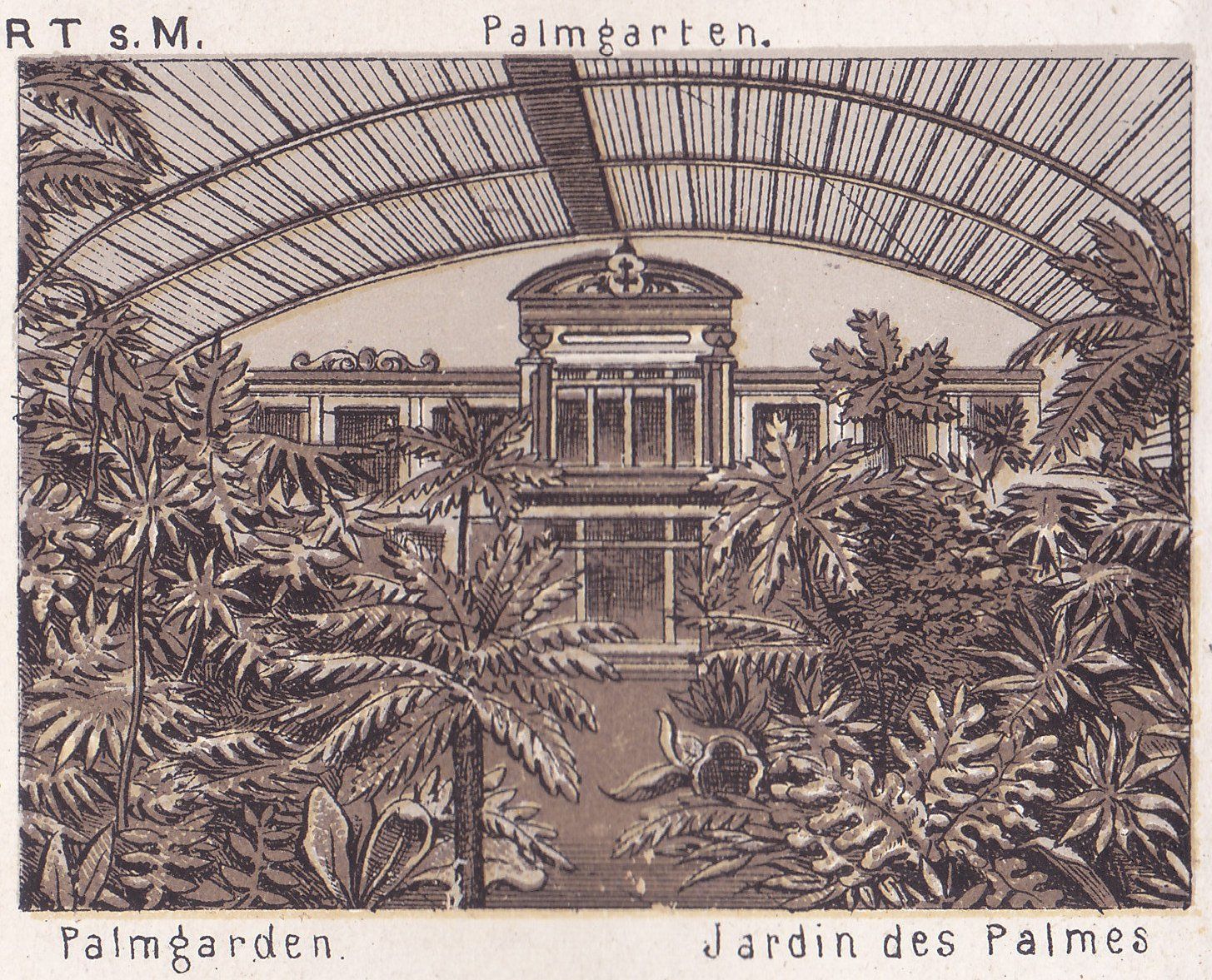 Palmgarten. Palmgarden. Jardin des Palmes.
