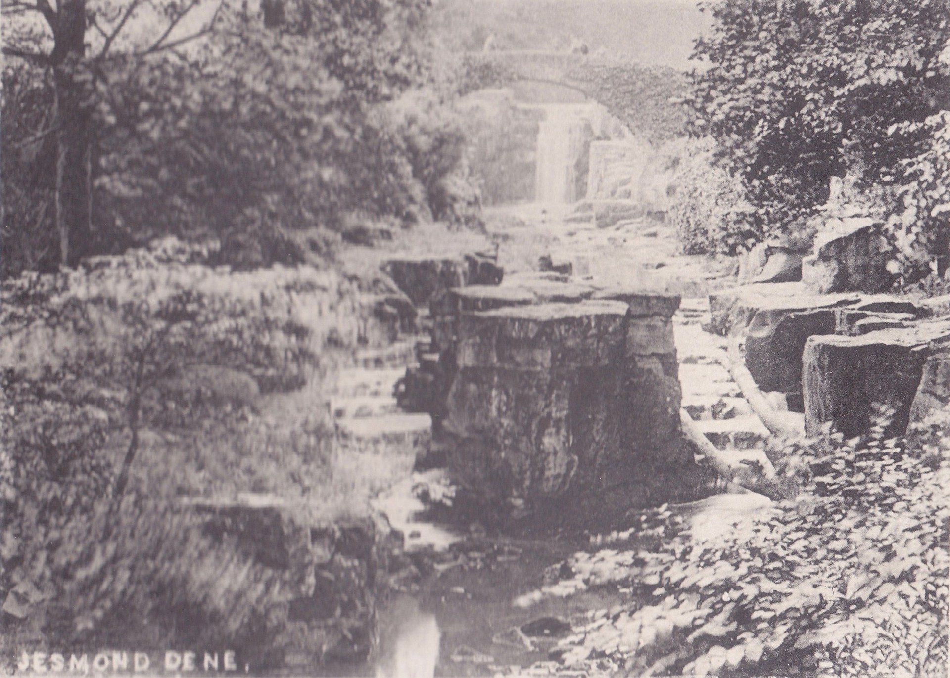 JESMOND DENE.