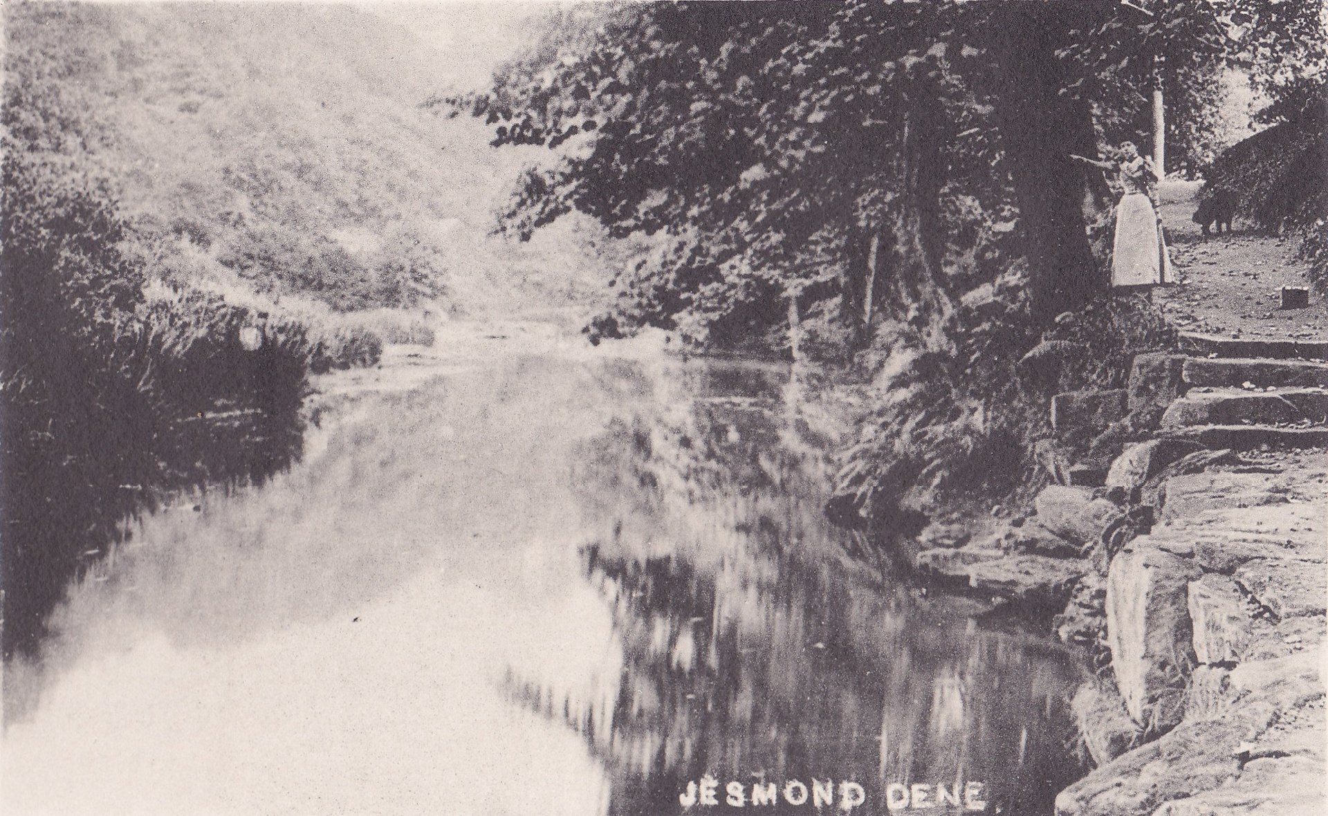 JESMOND DENE.