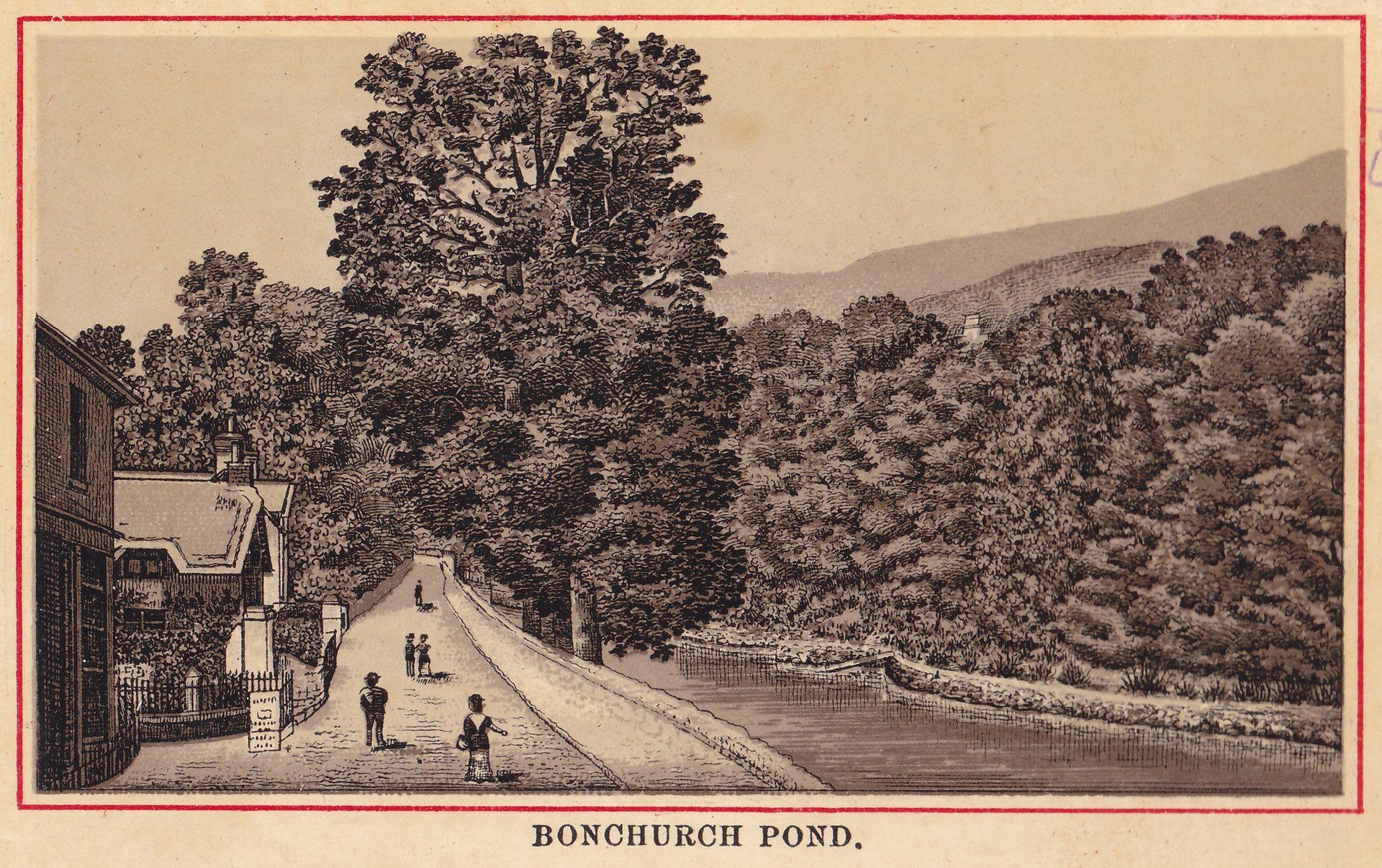 BONCHURCH POND.