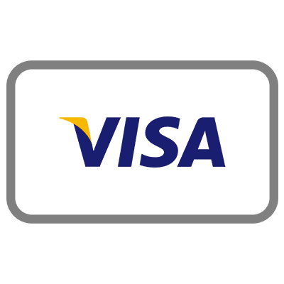 Visa credit card logo with a gray border. Blue 