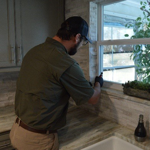 Pesticide — Jacksonville, FL — Pro Care Lawn & Pest Pesticide — Jacksonville, FL — Pro Care Lawn & Pest